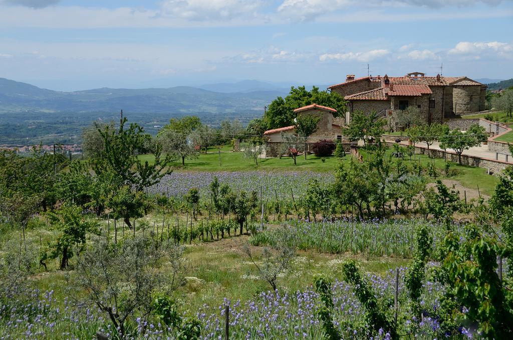 Agriturismo Villa Iris Castelfranco di Sopra Экстерьер фото