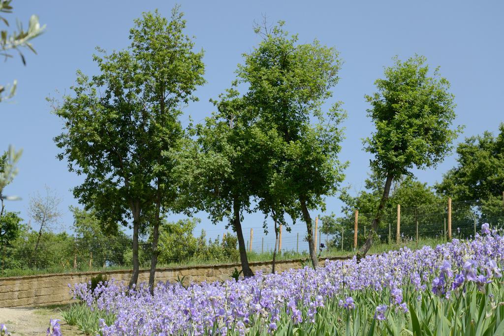 Agriturismo Villa Iris Castelfranco di Sopra Экстерьер фото