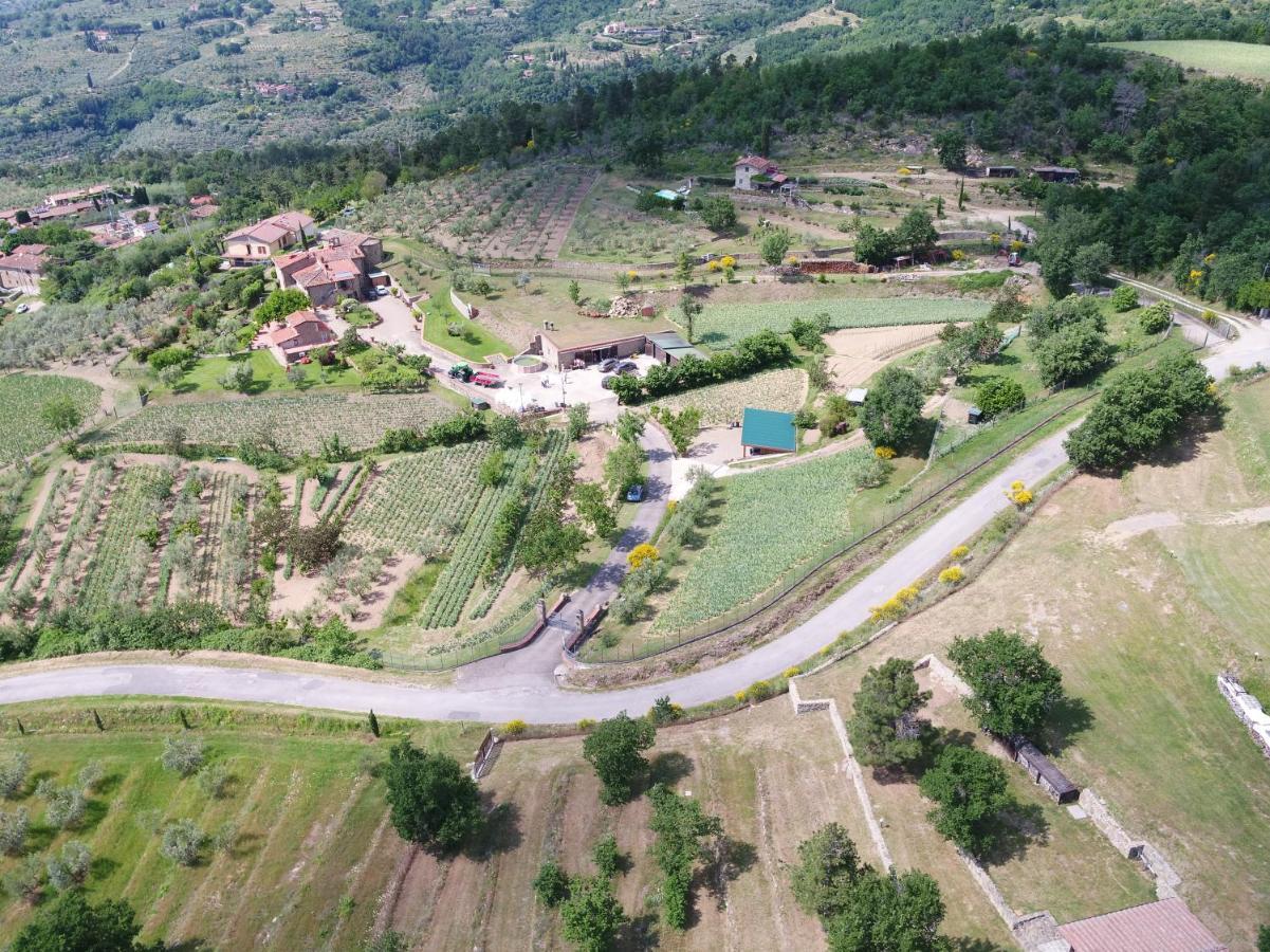 Agriturismo Villa Iris Castelfranco di Sopra Экстерьер фото